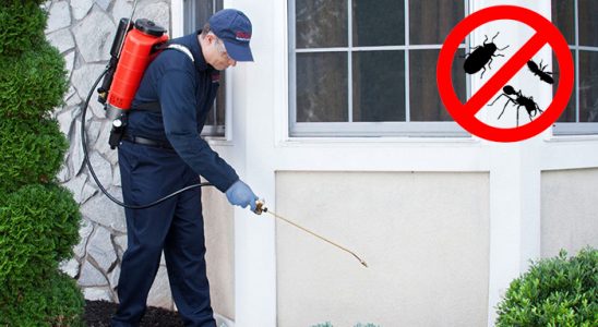 Datça Böcek ve Haşere İlaçlama böcek ilaçlama ve haşere kontrolü — ilaclama-tr.com